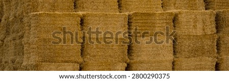 Straw hay background, haystack with straw bale.