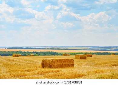 Hay Bales In Field Images Stock Photos Vectors Shutterstock