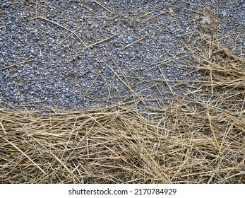 Straw And Hay Scattered On A Gravel Floor On A Farm