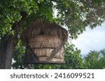 Straw hut hanging from a tree near the Saint-Denis river in Reunion Island.