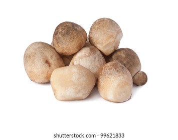 Straw Mushroom