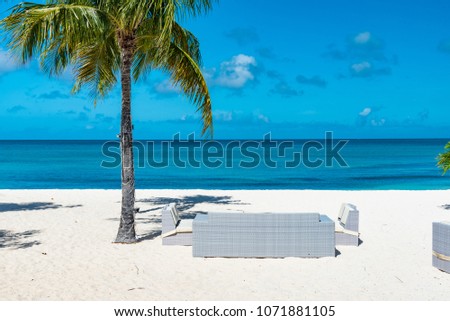 Similar – Image, Stock Photo Parasol, under palm trees