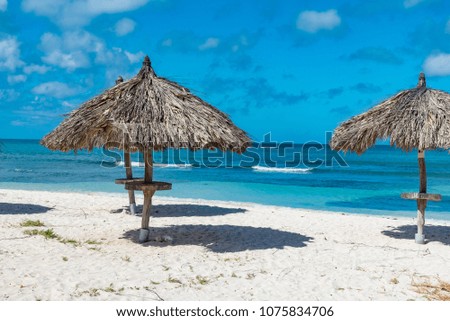 Similar – Image, Stock Photo Parasol, under palm trees