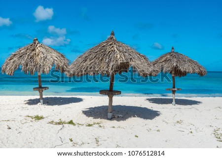 Similar – Image, Stock Photo Parasol, under palm trees