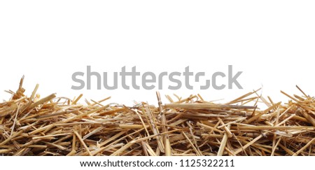 Straw pile isolated on white background and texture, clipping path