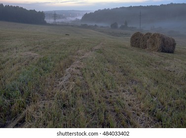 Straw rolls - Powered by Shutterstock - Get 15% off with code: PIKWIZARD15