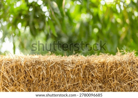 Straw stack, Hay bale in nature with soft green bokeh background and sunlight, ideal for agriculture, organic themes, or natural backdrop