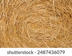 straw summer background. haystack straw prepared for farm. Stack dry hay. Hay texture. Hay bale is stacked in large stack. rural autumn with hay. Stacking bales