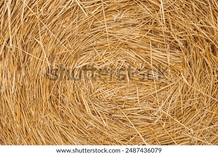 straw summer background. haystack straw prepared for farm. Stack dry hay. Hay texture. Hay bale is stacked in large stack. rural autumn with hay. Stacking bales