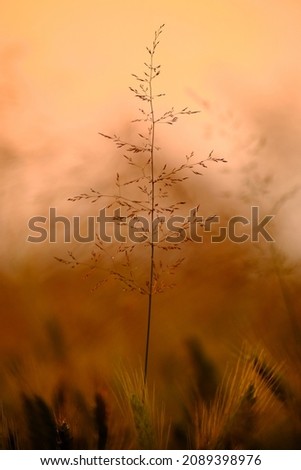 Similar – Image, Stock Photo western beach