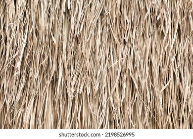 Straw Texture Tropic Roof Summer Background Stock Photo 2198526995 ...