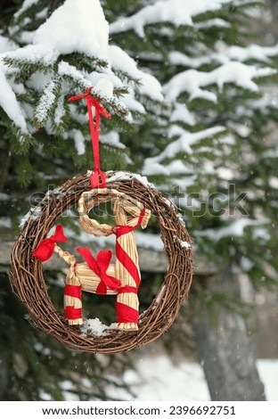 straw Yule Goat decor on snowy fir tree outdoor. Winter nature background. traditional festive decor, Symbol of Scandinavian, Northern European Yule, Christmas holidays. Winter ritual for Yuletide