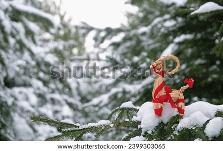 straw Yule Goat toy on snowy fir tree outdoor. Winter nature background. traditional festive decor, Symbol of Yule, Christmas holiday. Magic ritual for YuleTide, winter solstice. copy space