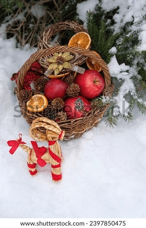 straw Yule Goat toy and wicker basket with apples, decorations in snowy forest. Winter nature background. Yuletide, Christmas, New Year holidays. festive winter season. copy space