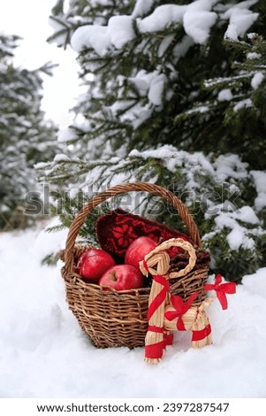 straw Yule Goat and wicker basket with fresh apples, mittens in snowy forest. Winter nature background. Yuletide, Christmas, New Year holidays. cozy hygge atmosphere. festive winter season.