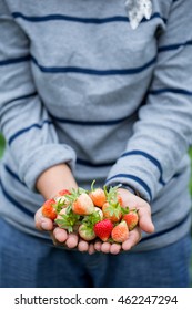 strawberries