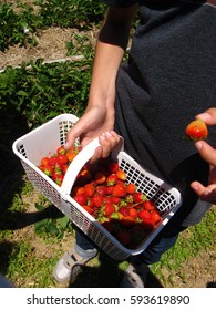 strawberries