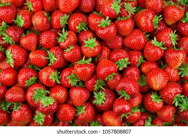 Strawberries background. Strawberry. Food background. - Shutterstock ID 1057808807