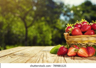 Strawberries In Basket On Wooden Table In Natural Background, Delicious First Class Organic Fruit As A Concept Of Summer Vitamins