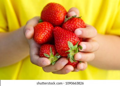 Strawberries berry fruits strawberry berries fruit summer hands holding child kid little boy outdoor - Powered by Shutterstock