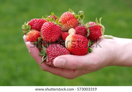 Similar – Image, Stock Photo strawberry season Food