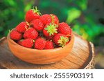 Strawberries. Organic Berries Closeup. Ripe Strawberry In The Fruit Garden, Old Wooden Bowl Filled With Succulent Juicy Fresh Ripe Red Strawberries On An Old Birch Stump. Toned Image