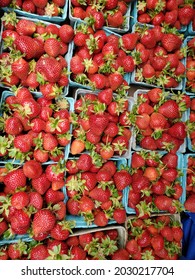 Strawberries picked and in classic green quart boxes.