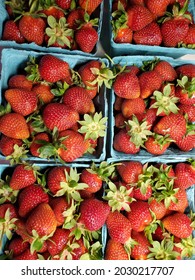 Strawberries picked and in classic green quart boxes.