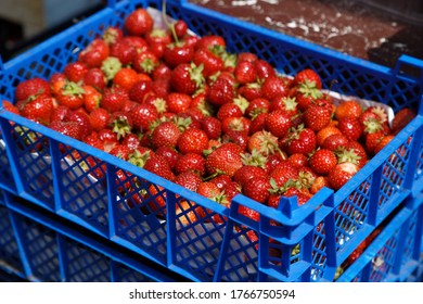 Strawberries in a plastic container at the market