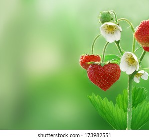  strawberries in shape of a heart 