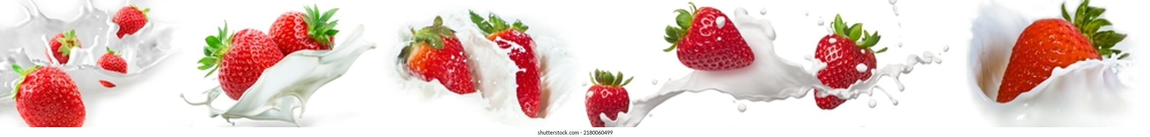 Strawberry Berries. Splashes Of Milk. Red Ripe Berries. Panoramic Photography