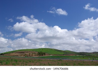 Strawberry Farm At South Bay, California USA