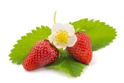 Strawberry With Flower Isolated On White Background