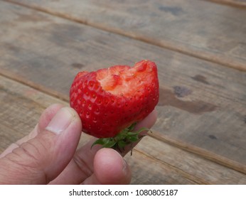 Strawberry : Fragaria Chiloensis Duchesne