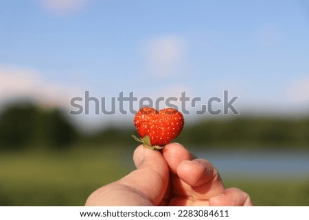 Strawberry heart, Strawberry love shape, PPT background, blue sky, small strawberry