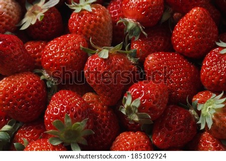 Strawberry hunting
