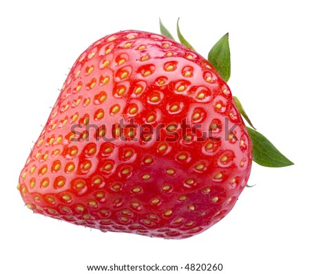 strawberry ; Objects on white background