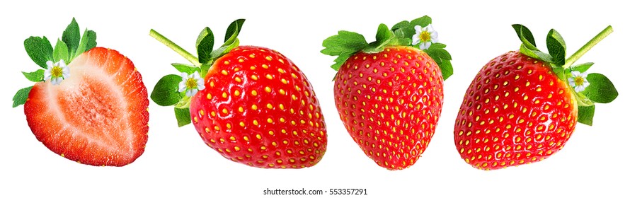 Strawberry on white background - Shutterstock ID 553357291