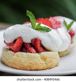 Strawberry shortcake. Sweet biscuit , basil, mint and vanilla whipped cream