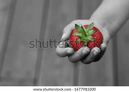 Similar – Woman holds strawberries in her hands