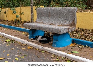 Stray cat sleeps under bench in public park in Brazil - Powered by Shutterstock