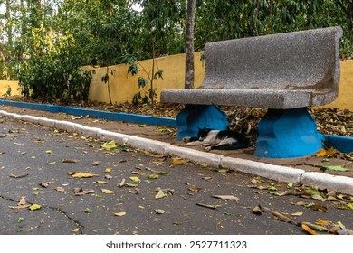 Stray cat sleeps under bench in public park in Brazil - Powered by Shutterstock