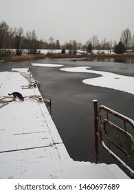 A Stray Dog Drinking Water Inside The Chernobyl Exclusion Zone In The Ukraine During The Winter Months With Snow On The Ground While On A Tour From Kiev