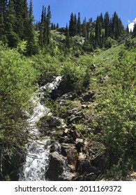 A Stream At Alta Utah