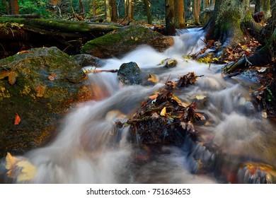 Stream in autumn