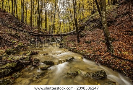 A stream in the autumn forest. Forest stream in autumn. Autumn forest stream. Autumn stream in forest