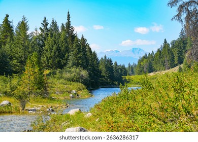 Stream between the Fourth and Third lakes of the Valley of the Five Lakes in the Jasper National Park before the 2024 wildfire in Alberta, Canada