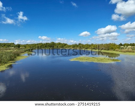 Stream from a bridget in Chascomus