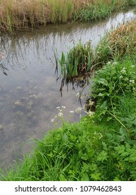 Stream In Burwell Cambridgeshire