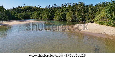 Stream by the Beachside, going deeper into the Forest